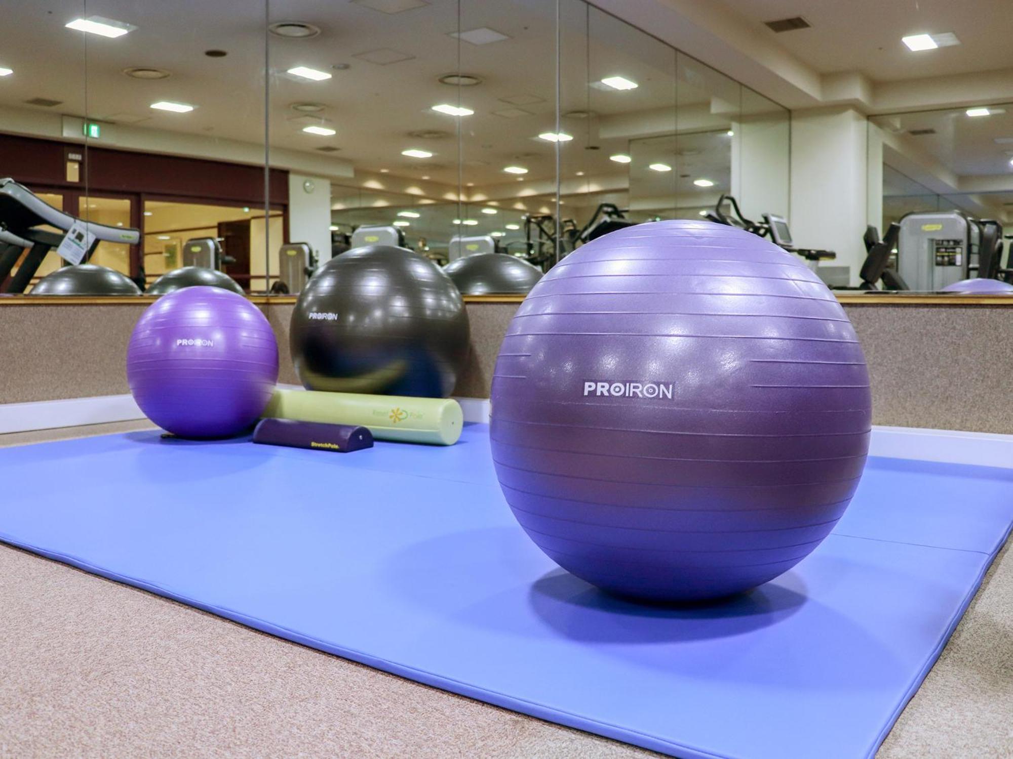 Premier Hotel -Tsubaki- Sapporo Exterior foto Swiss exercise ball